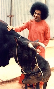 Beloved Bhagawan Sri Sathya Sai Baba